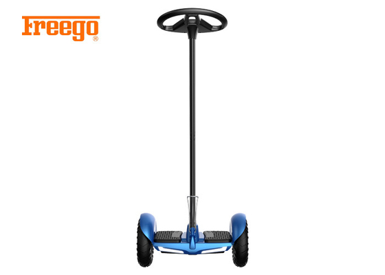 Cheap use friendly remarkable self balancing scooter with panel