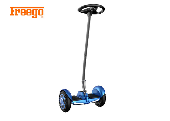 Cheap use friendly remarkable self balancing scooter with panel