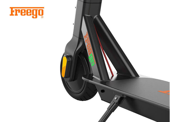 GPS Equipped Advanced Shared Electric Scooter For Women High Performance
