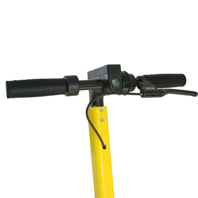 2 Wheel 10 Inch Compact Electric Scooter , Electric Standing Scooter 36V 450W Motor Power